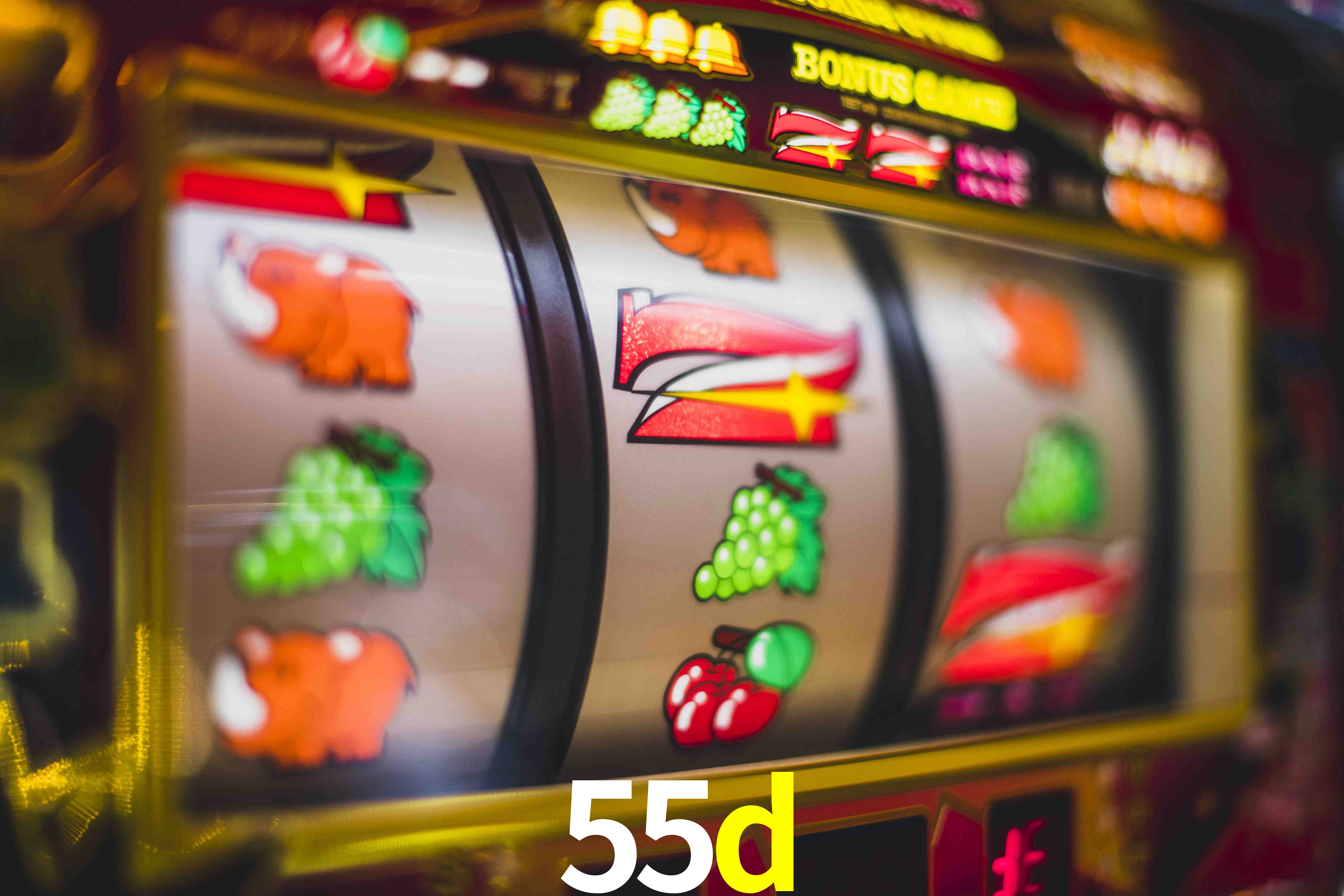 Basketball Betting 55d